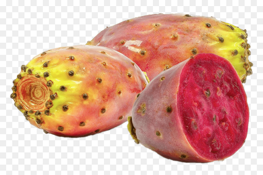 Moroccan Prickly Pear Seed Oil, HD Png Download - cactus png