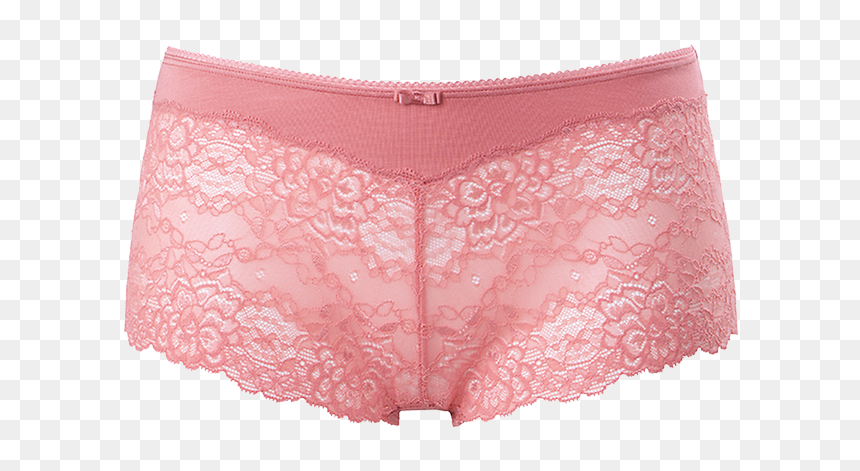 Panties, HD Png Download - lace transparent png