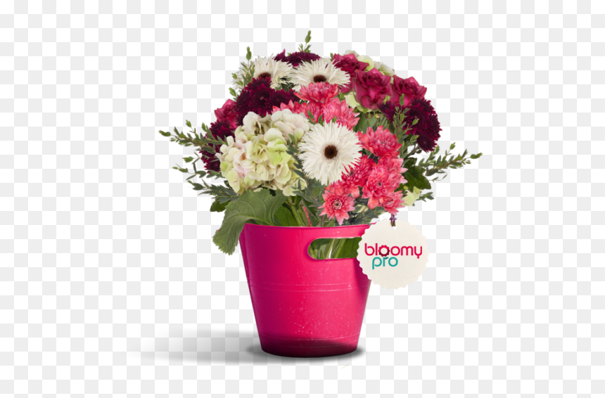 Barberton Daisy, HD Png Download - bouquet png