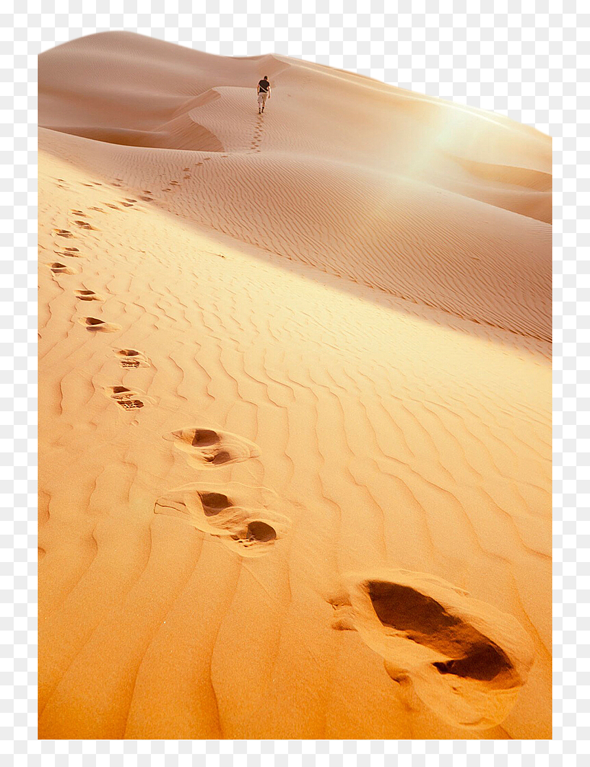 Footprints In Desert Sand, HD Png Download - desert png
