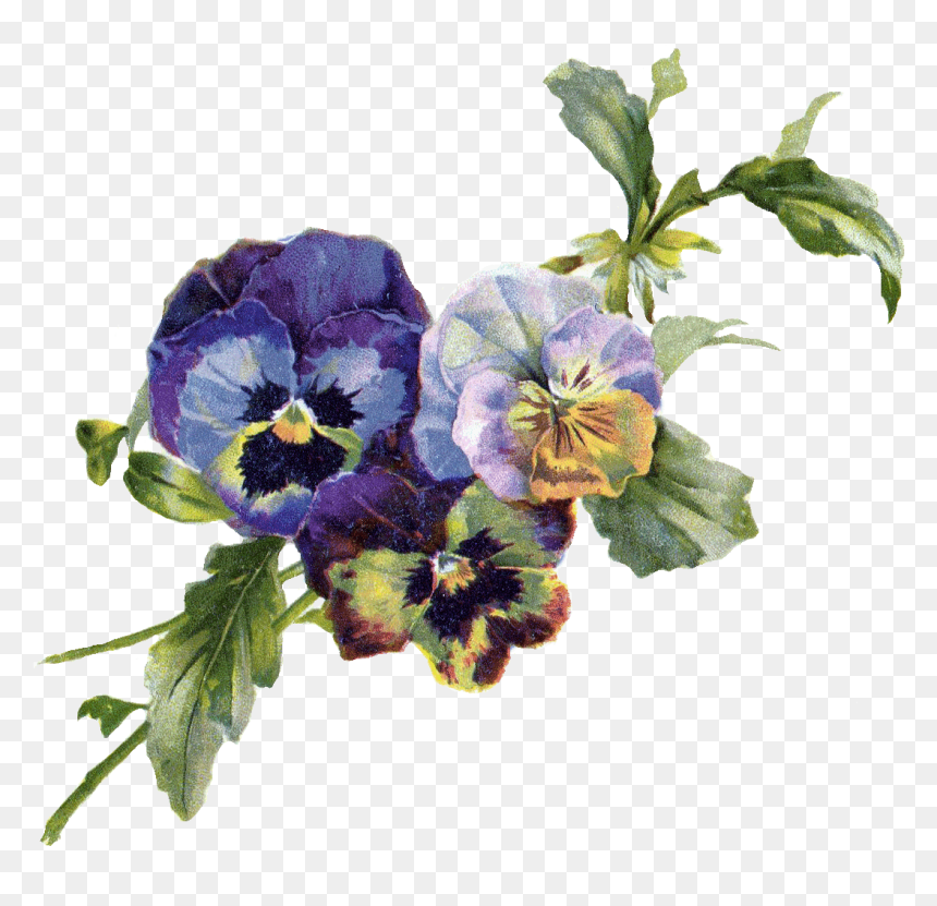Pansy Vintage Flowers Png, Transparent Png - bouquet png