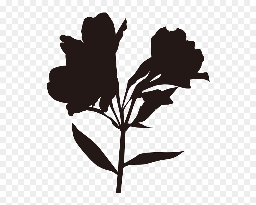 Silhouette, HD Png Download - flower petals png