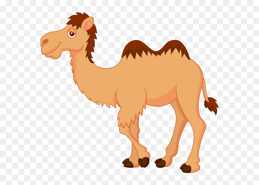 Camel Clipart, HD Png Download - desert png