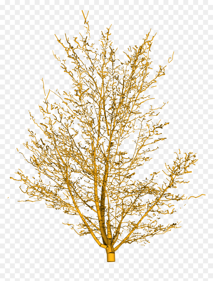 Branch Png Yellow, Transparent Png - desert png