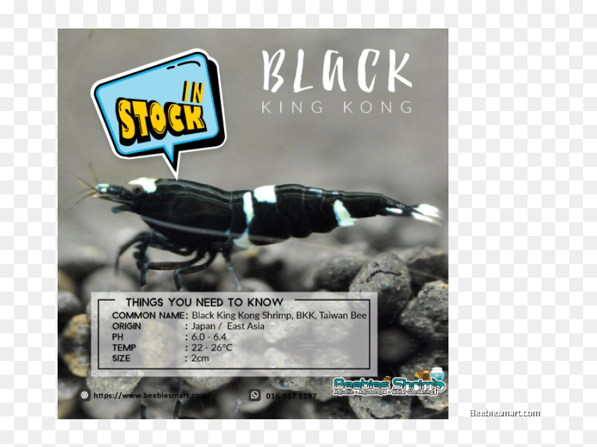 Taiwan Bee King Kong, HD Png Download - king kong png
