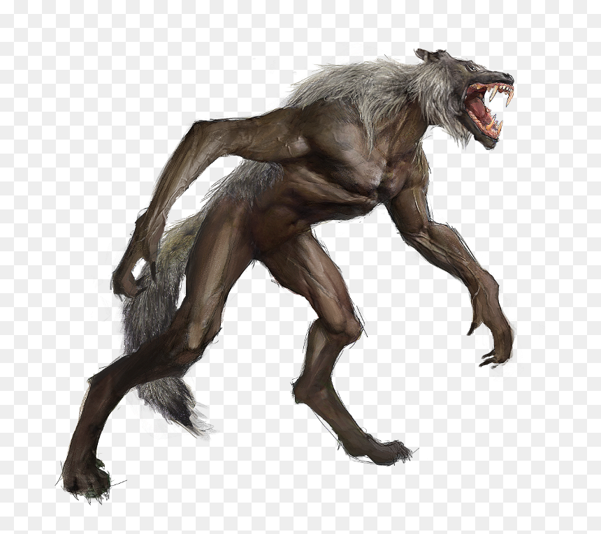 Illustration, HD Png Download - werewolf png