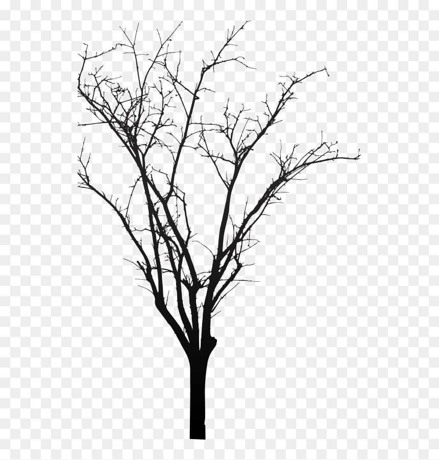 Twig, HD Png Download - texas silhouette png