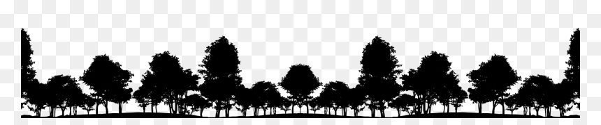 Tree Park Silhouette Png, Transparent Png - texas silhouette png