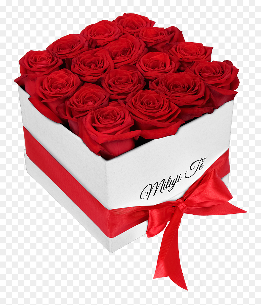 Rosas Para El 14 De Febrero, HD Png Download - white box png