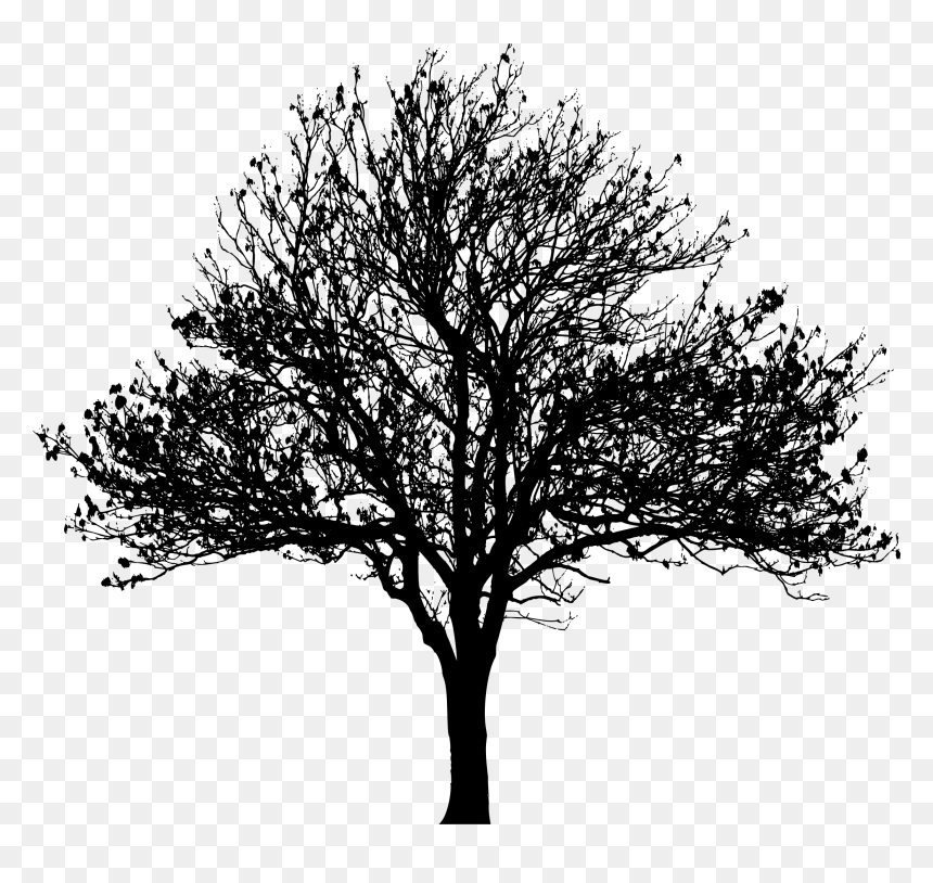Tree Silhouette Png Free, Transparent Png - texas silhouette png