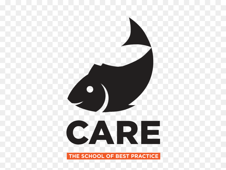 Pomacentridae, HD Png Download - school of fish png