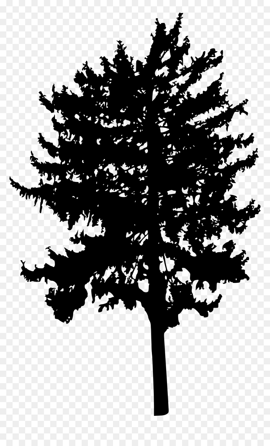 Transparent Background Tree Silhouette Png, Png Download - woody png
