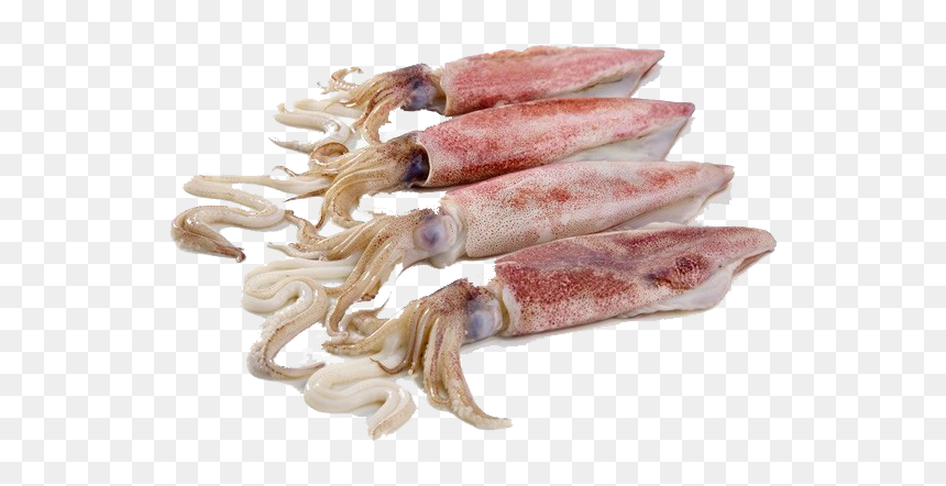 Squid Whole, HD Png Download - squid png