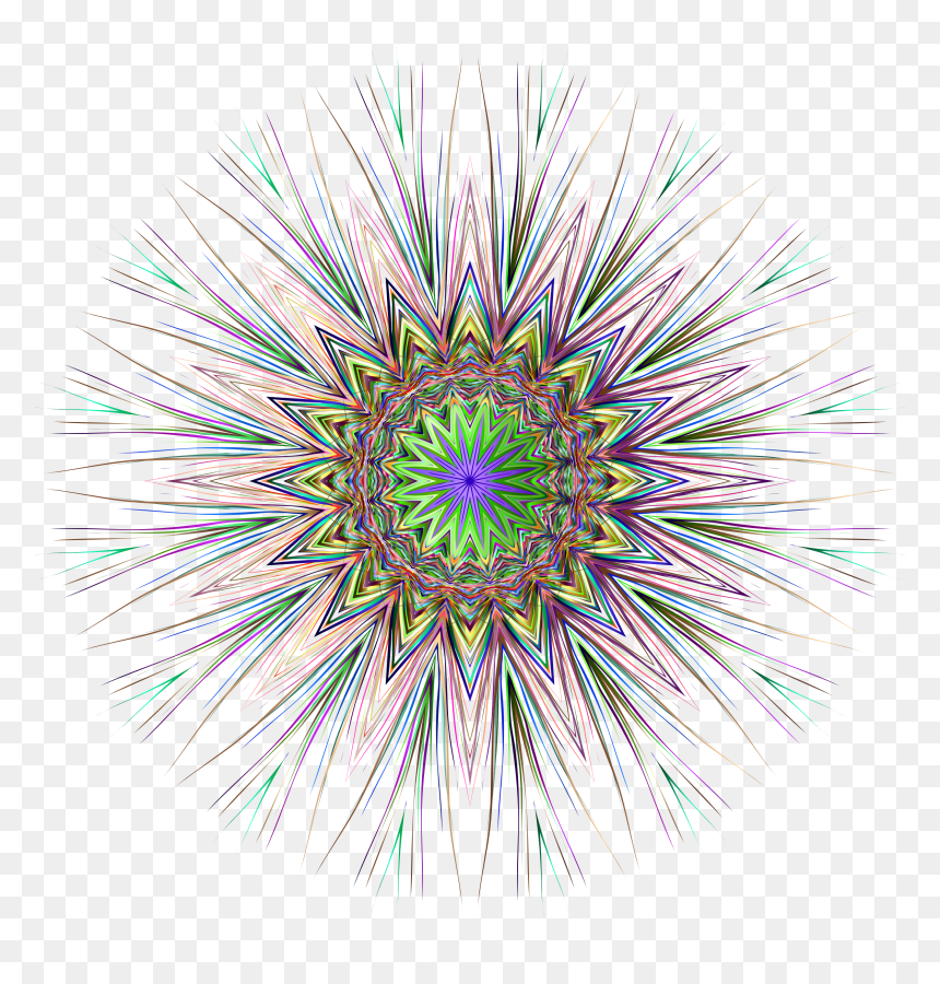 Circle, HD Png Download - squid png