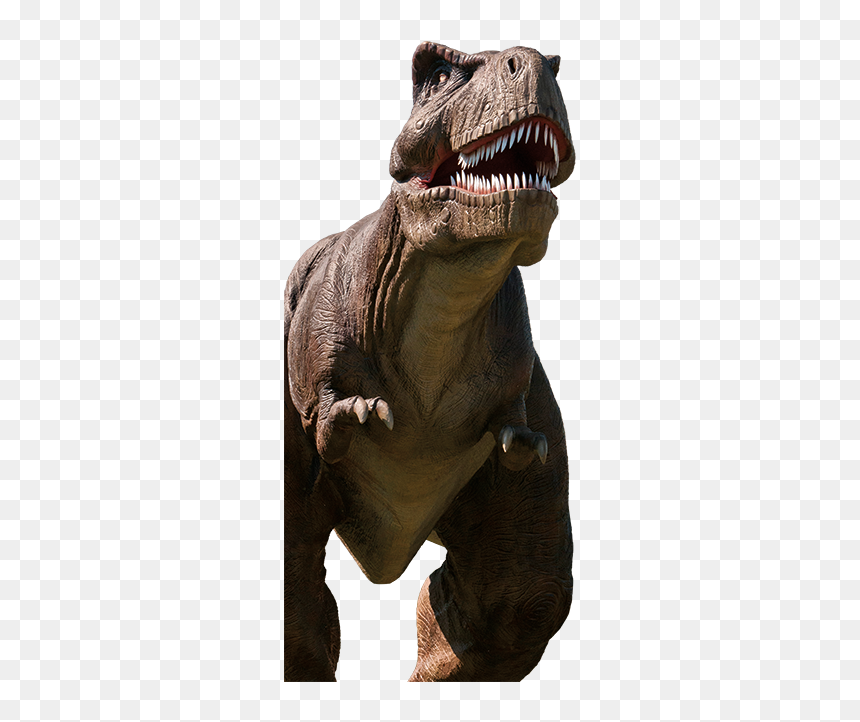 Tyrannosaurus, HD Png Download - trex png