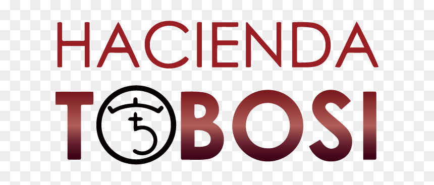 Graphic Design, HD Png Download - hacienda png