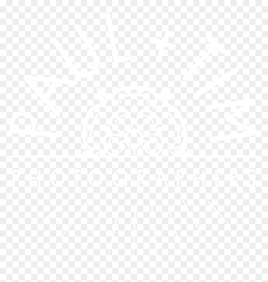 Graphic Design, HD Png Download - tim png
