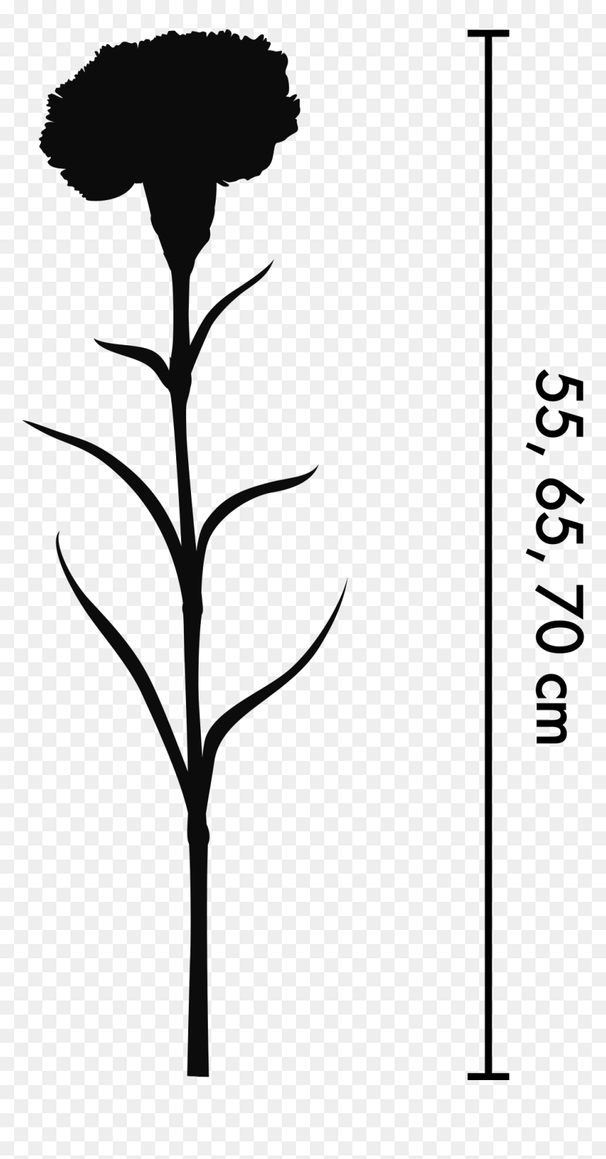 We Offer Different Packs Based On Different Grades, HD Png Download - grades png