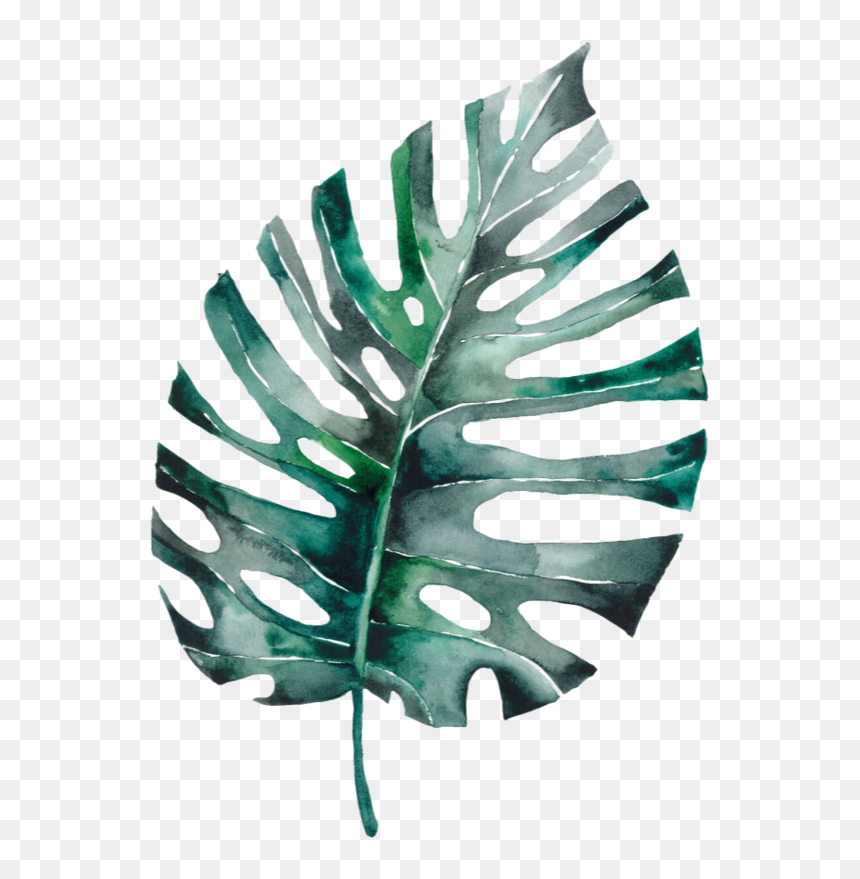 Img 5351, HD Png Download - tumblr feather png