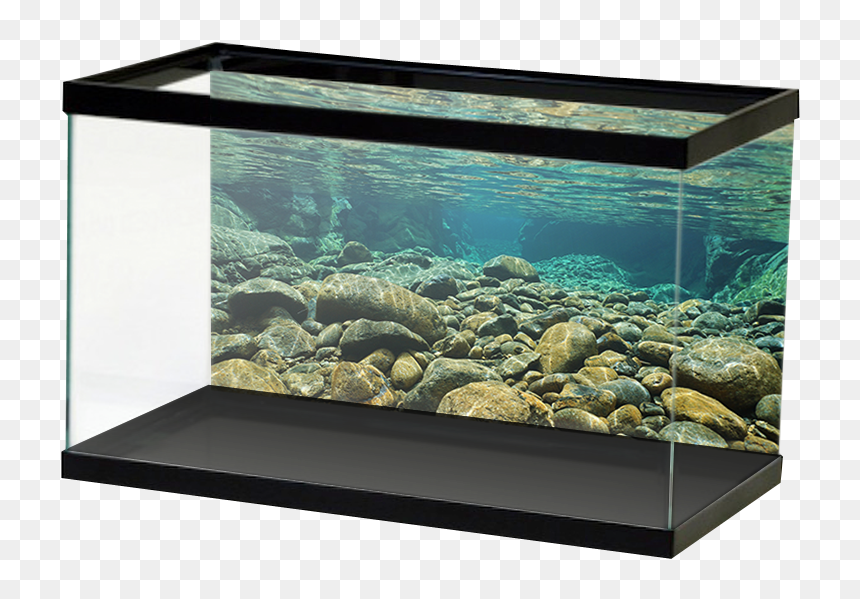 Transparent Underwater Png - River Rock Aquarium Background, Png Download - gravel texture png
