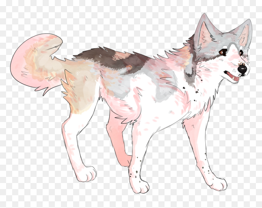 Wake Up You Need To Make Money Bark We Dog Vine Twenty - Dog Catches Something, HD Png Download - twenty one pilots lyrics png