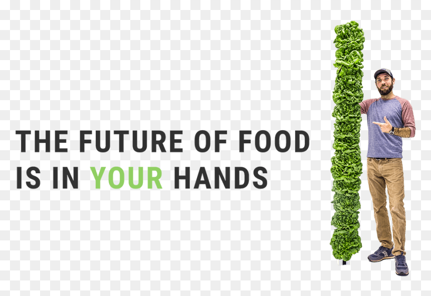 Banner, HD Png Download - plants are friends png