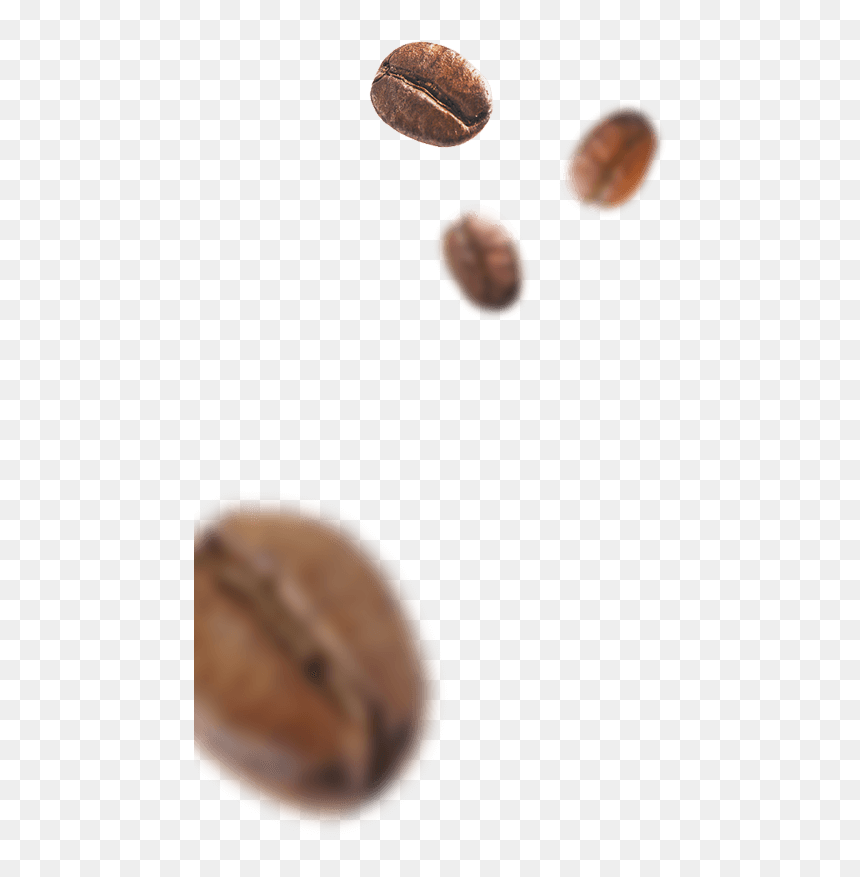 Coffee Beans - Chocolate, HD Png Download - cafe people png