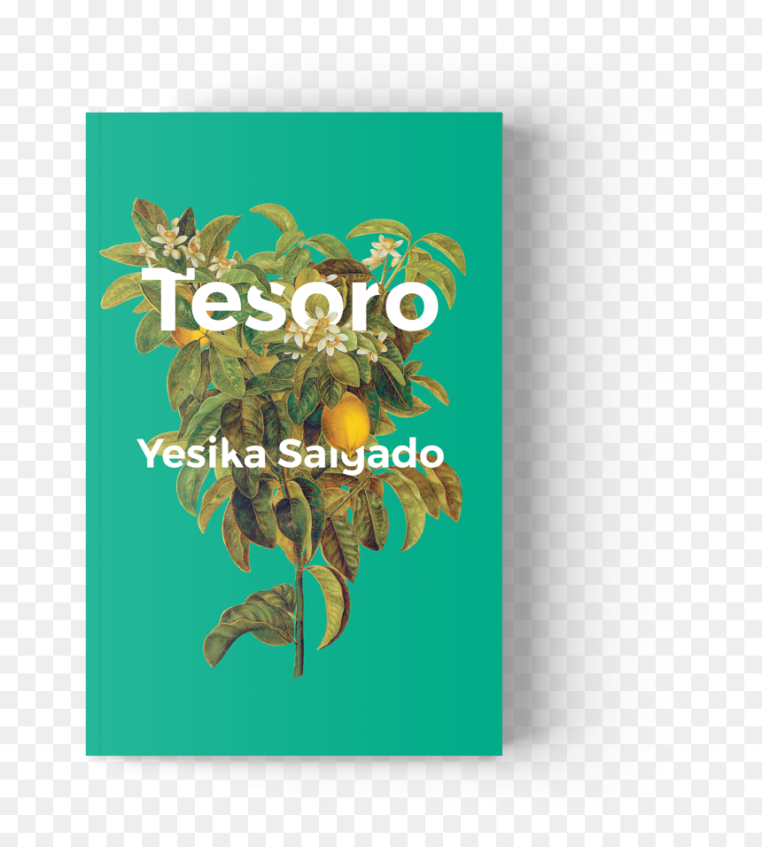 Today I’m Handing The Books Tumblr Reins Over To National - Tesoro Yesika Salgado, HD Png Download - book png tumblr
