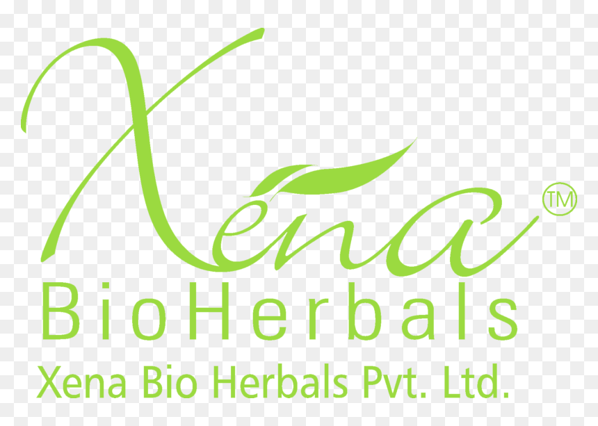 Logo - Xena Bio Herbals Logo, HD Png Download - xena png