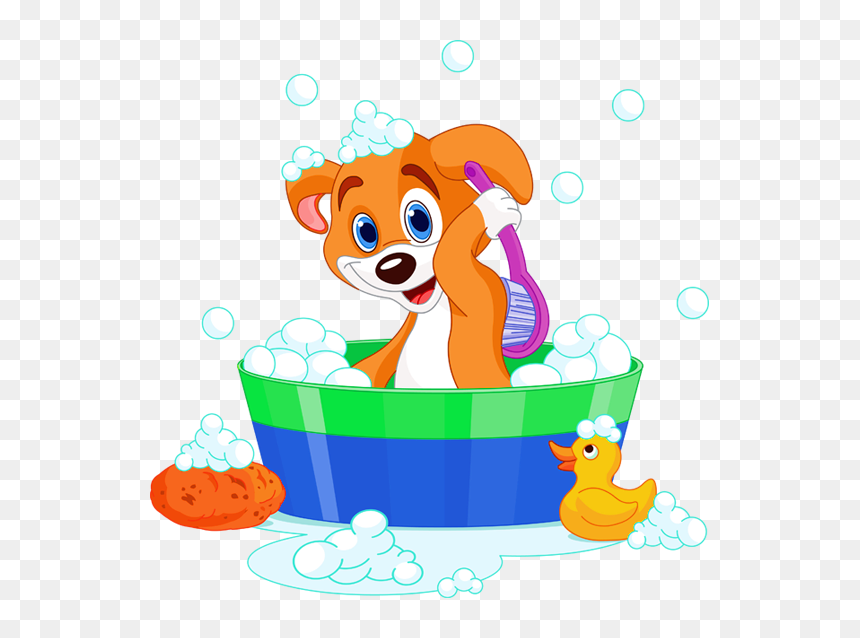 Where We Offer The Finest Hairstyles For Your Furry - Wet Dog Clipart Png, Transparent Png - furry.png