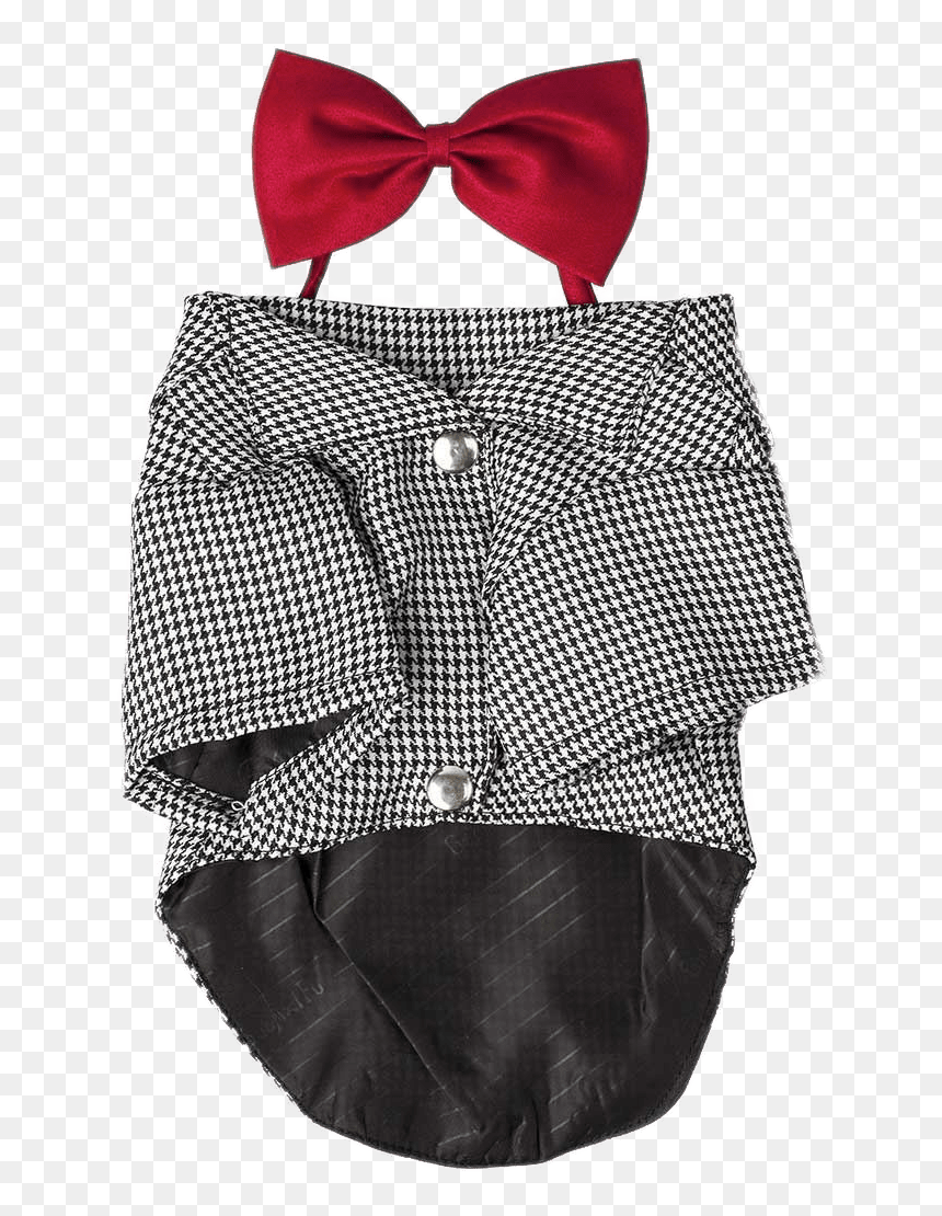 Dog Costume With Bow Tie - Tights, HD Png Download - jedi robe png