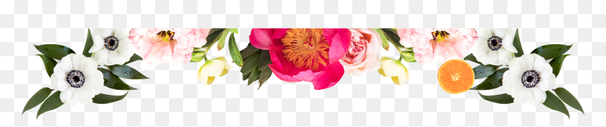 Common Peony, HD Png Download - bed bath and beyond png