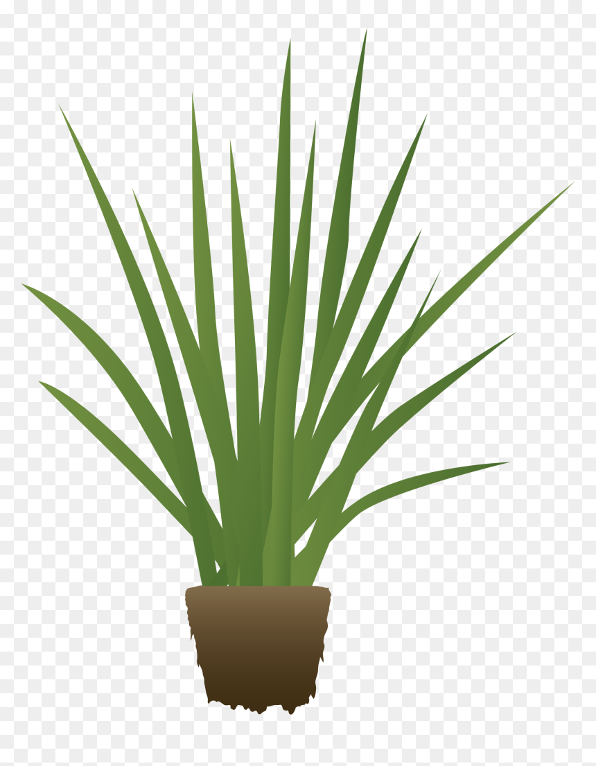 Agr Emojis Final - Agave, HD Png Download - runner emoji png