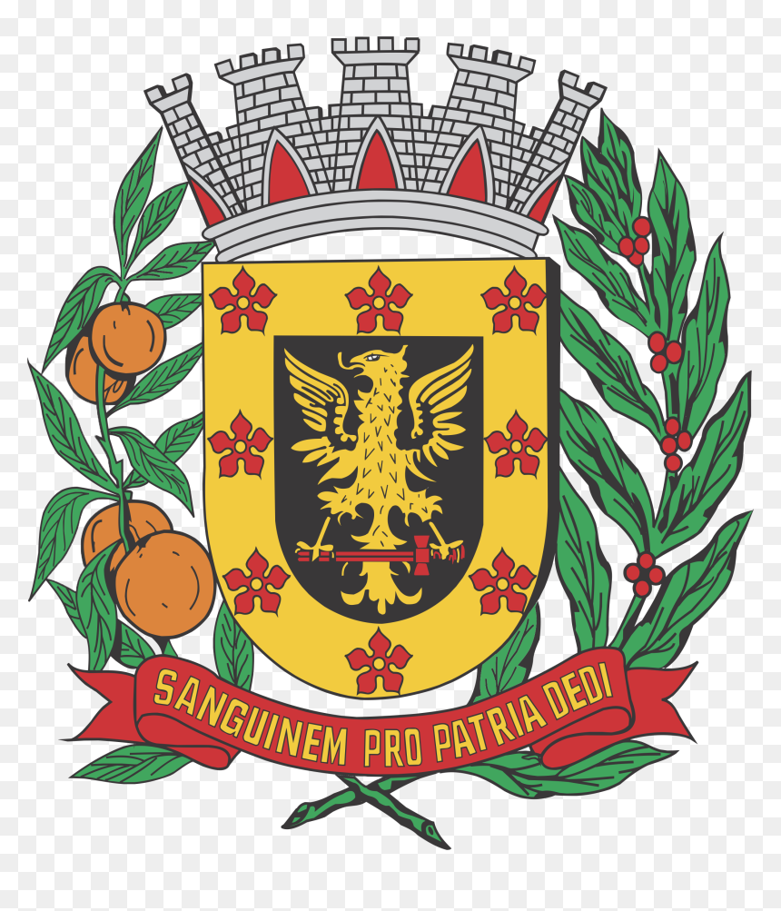 Bandeira De Olimpia Sp, HD Png Download - brasao png