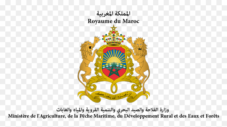 Ministrepeche - Coat Of Arms Of Morocco, HD Png Download - maroc png