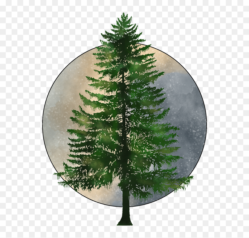Pine Tree Png Hd, Transparent Png - tree 2d png