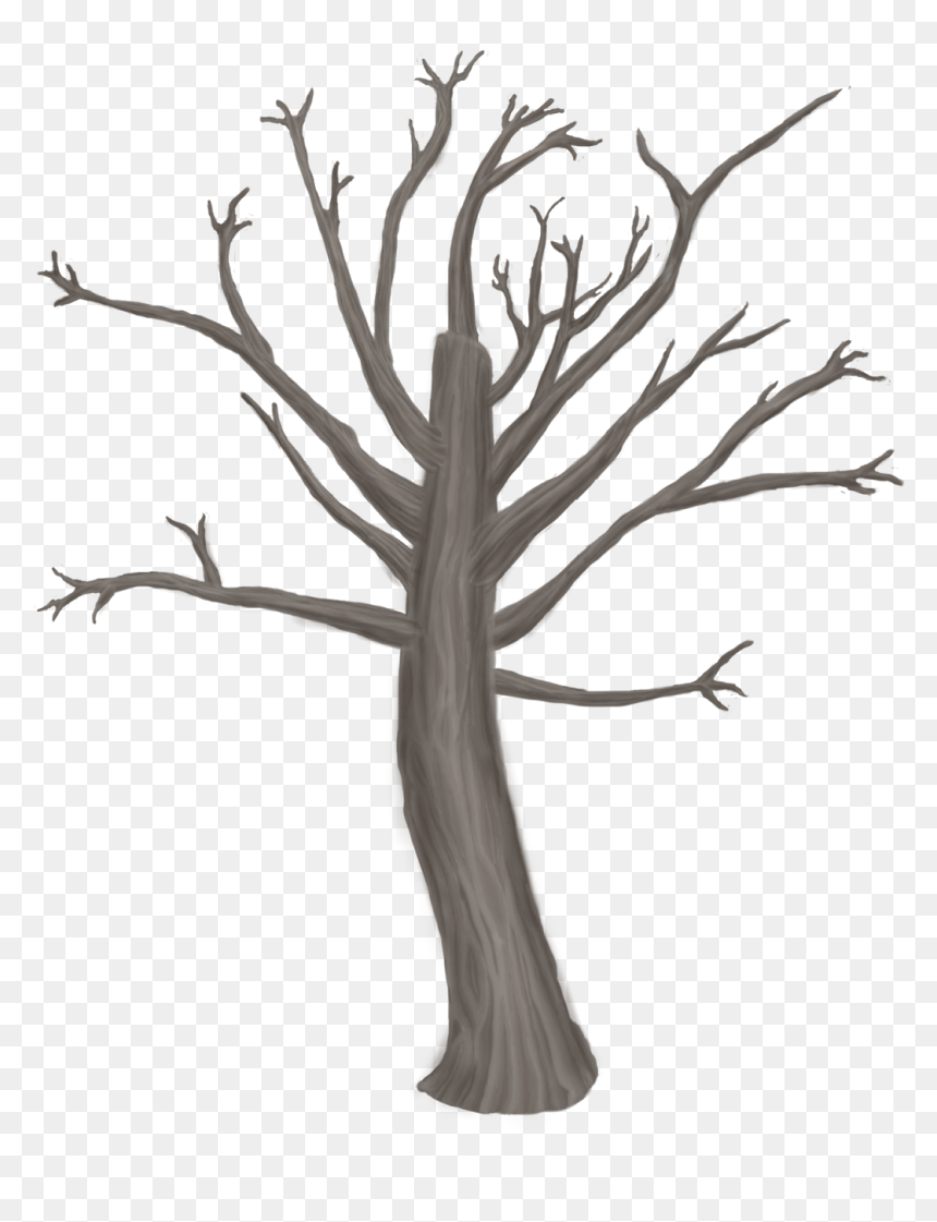 Sketch, HD Png Download - tree 2d png