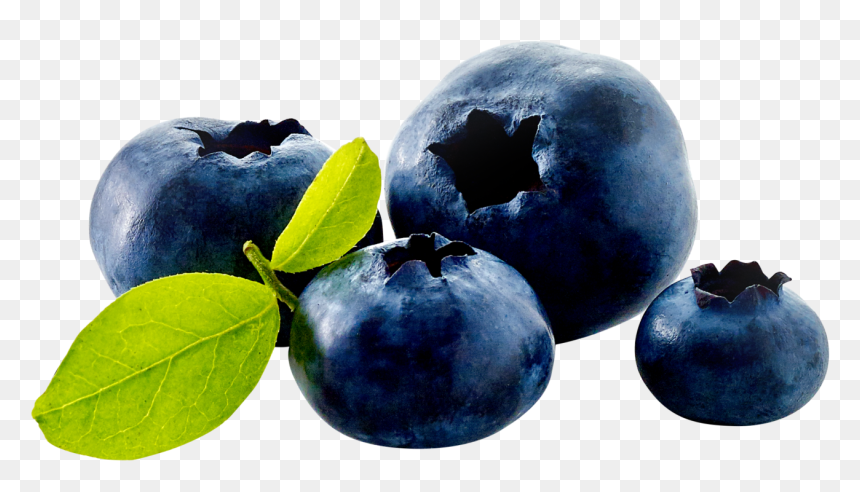 Blueberry, HD Png Download - foods png