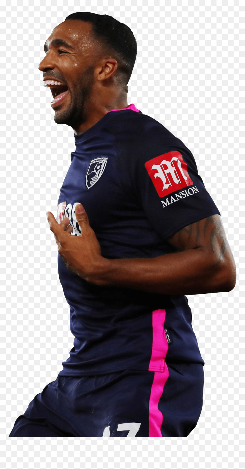 Callum Wilson render - Player, HD Png Download - wilson png
