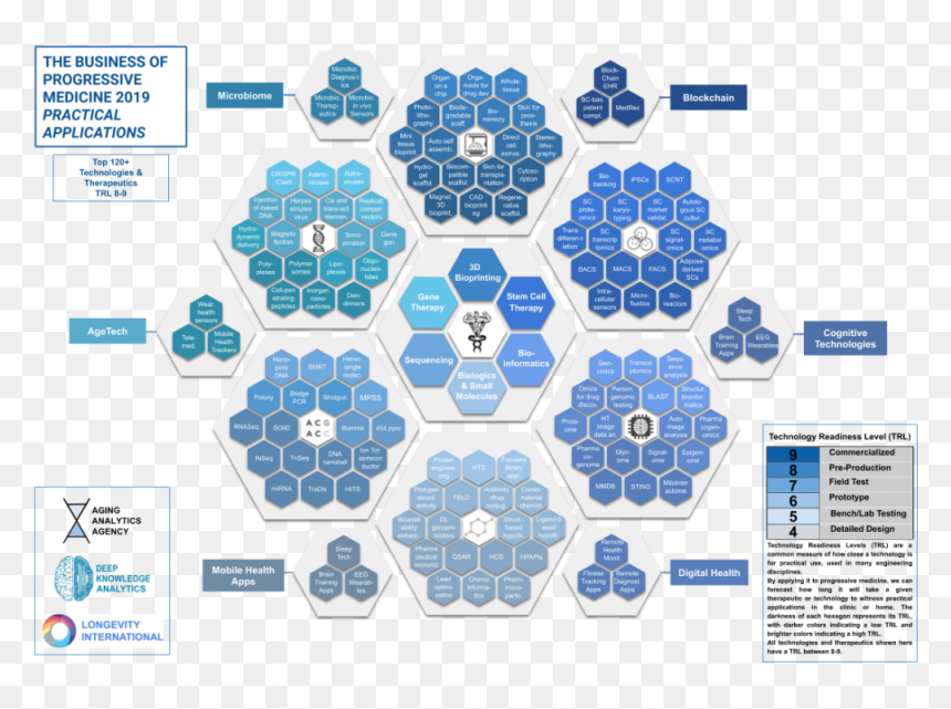 Circle, HD Png Download - aging png