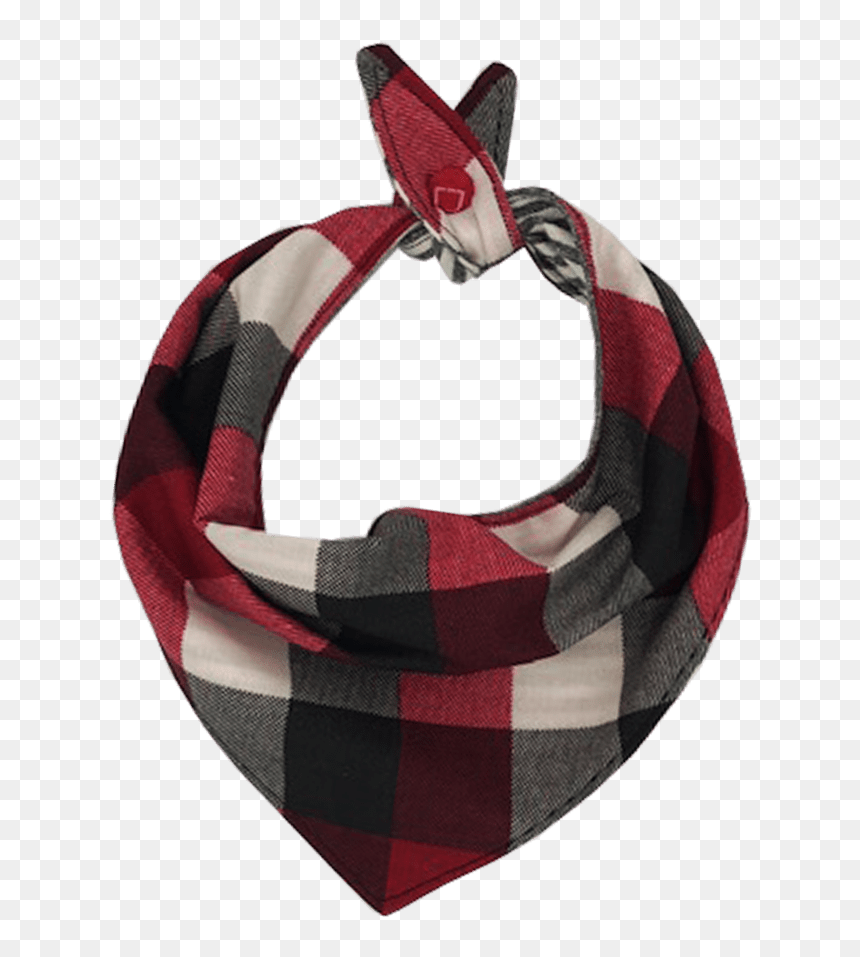 Scarf, HD Png Download - bandana design png