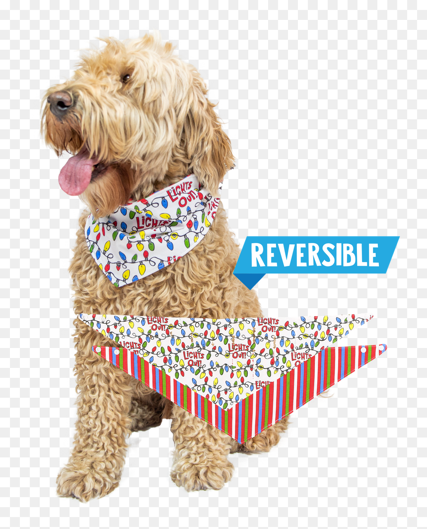 Lights Out - Labradoodle, HD Png Download - bandana design png