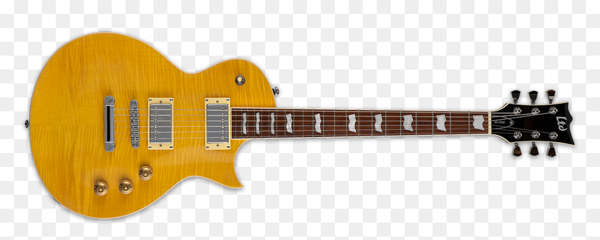 Les Paul Traditional Gold, HD Png Download - guitar neck png