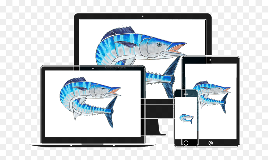 "
 Class="img Responsive Animated Zoominup Animation - Sailfish, HD Png Download - wahoo png