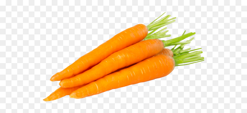 Fresh Vegetable Carrot, HD Png Download - baby carrot png