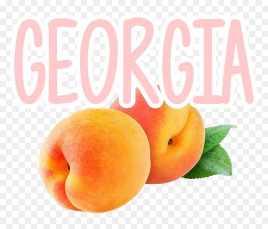 #georgia #fruit #peach - Peach, HD Png Download - georgia peach png