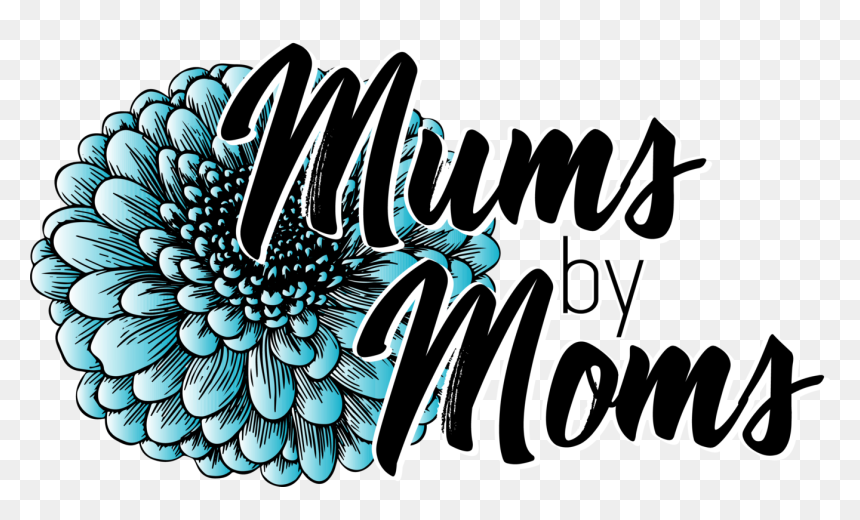Mums By Moms - Chrysanths, HD Png Download - gunter png