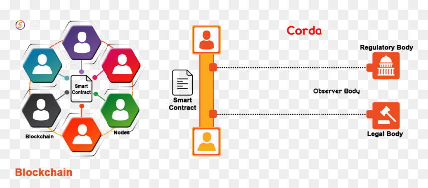 Corda - Corda Blockchain, HD Png Download - corda png