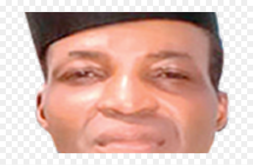 Inec Has Turned An Appendage Of Apc Adetoyinbo - Close-up, HD Png Download - apc png