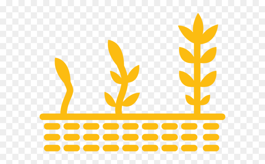 About-ourvision - Emblem, HD Png Download - ffa png